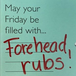 Meet your Posher, Corina